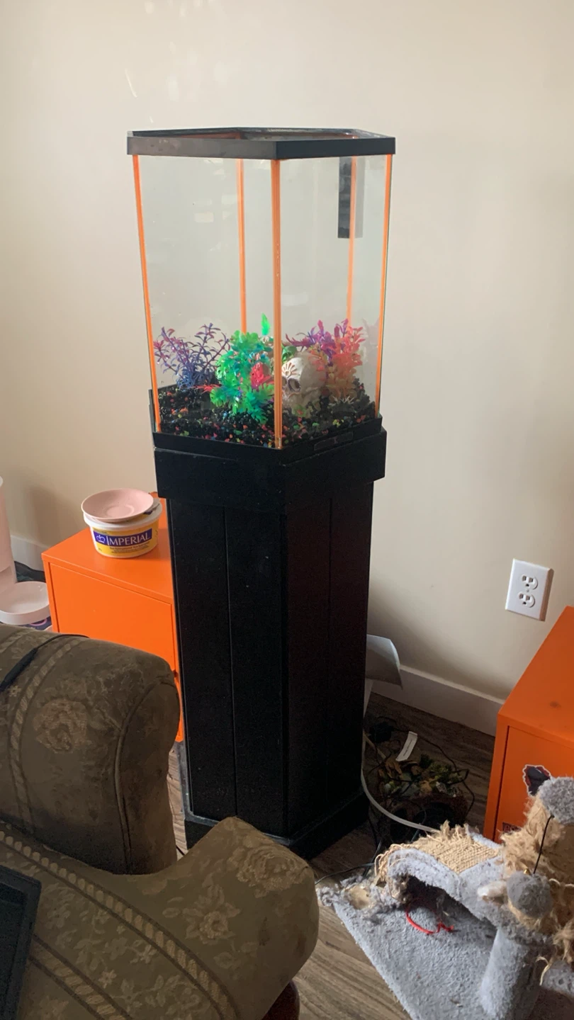 Hexagonal Aquarium with Stand and Decorations - photo 2