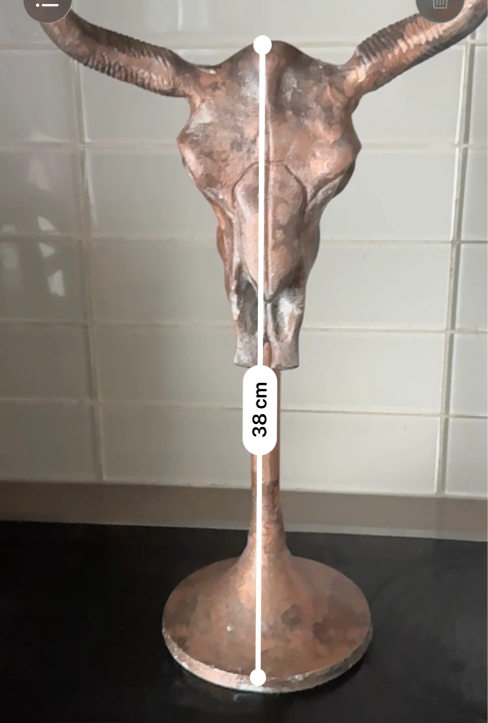 Decorative Bull Skull Statue - Copper Finish (38cm) - photo 4