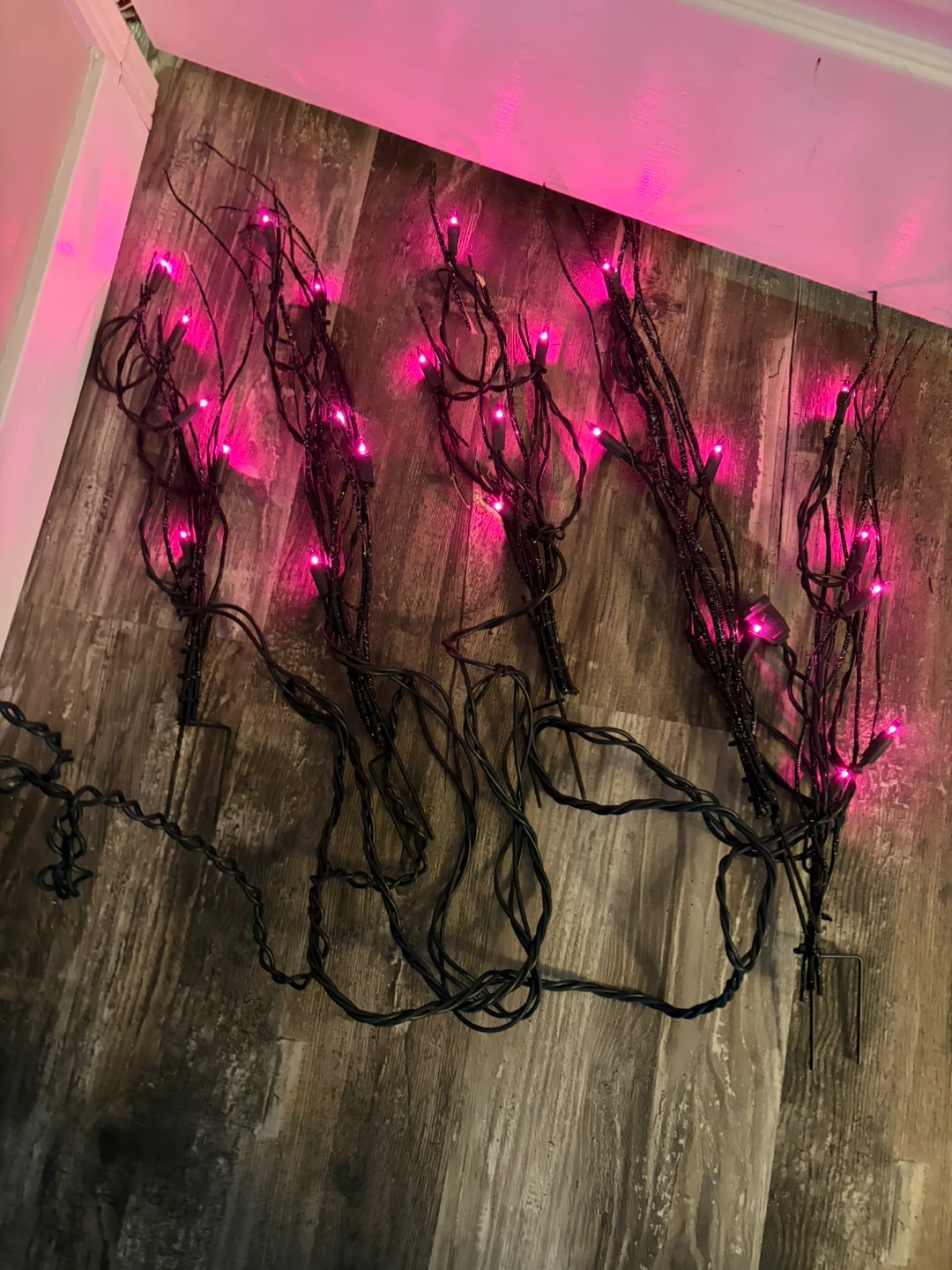 Spooky Twigs Halloween Lights