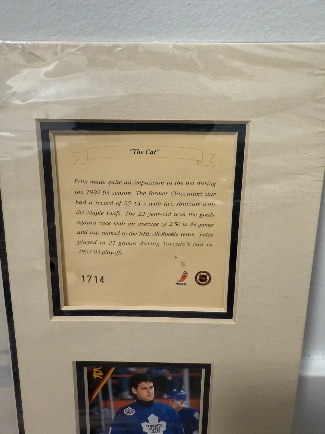Felix Potvin "The Cat" Toronto Maple Leafs Framed Photo & Card - photo 3