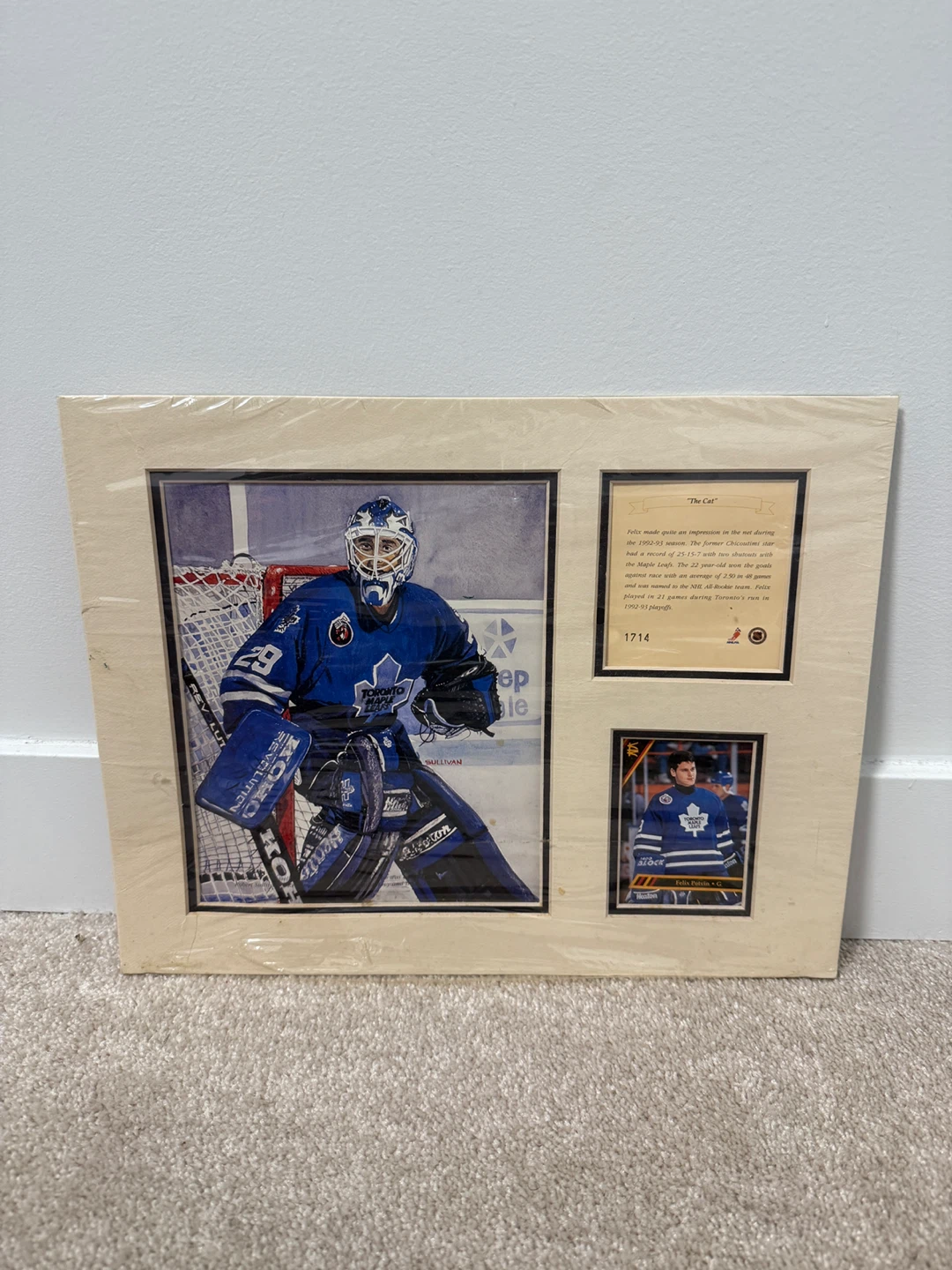 Felix Potvin "The Cat" Toronto Maple Leafs Framed Photo & Card