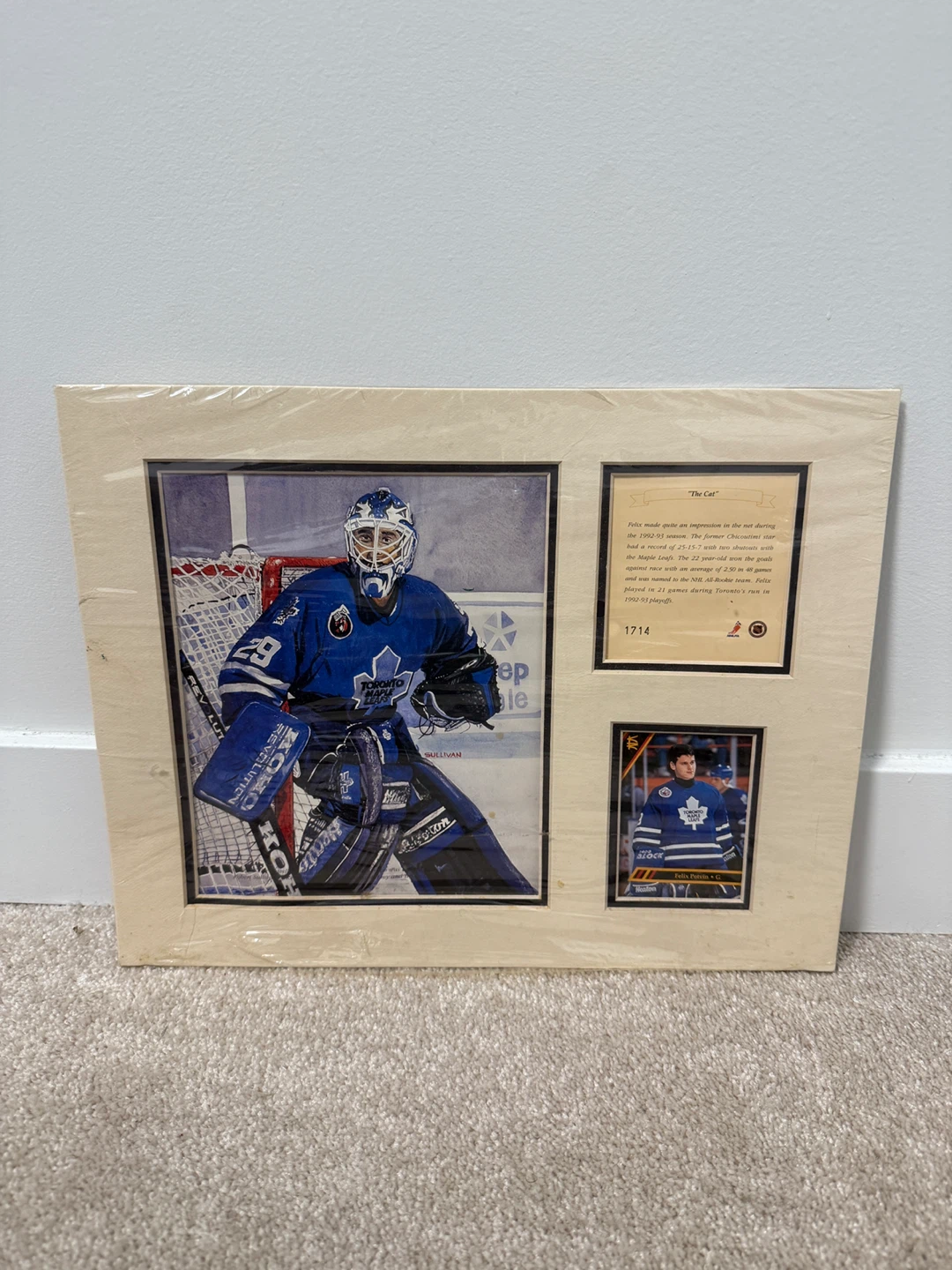 Felix Potvin "The Cat" Toronto Maple Leafs Framed Photo & Card - photo 2