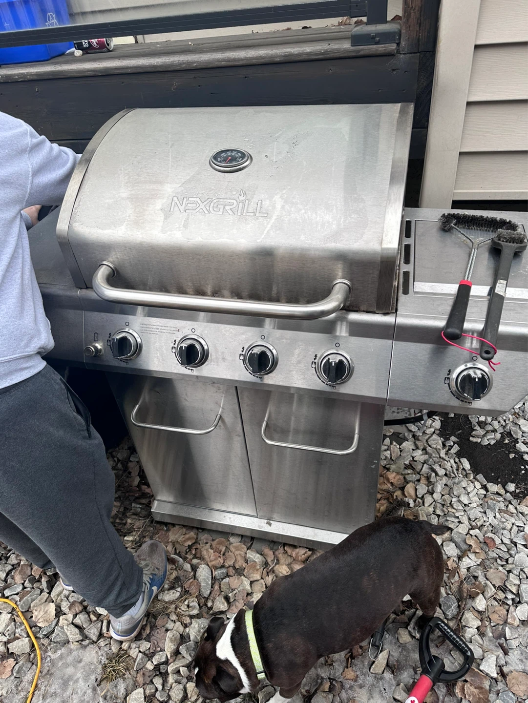 Nexgrill Propane BBQ with Cover and Tools