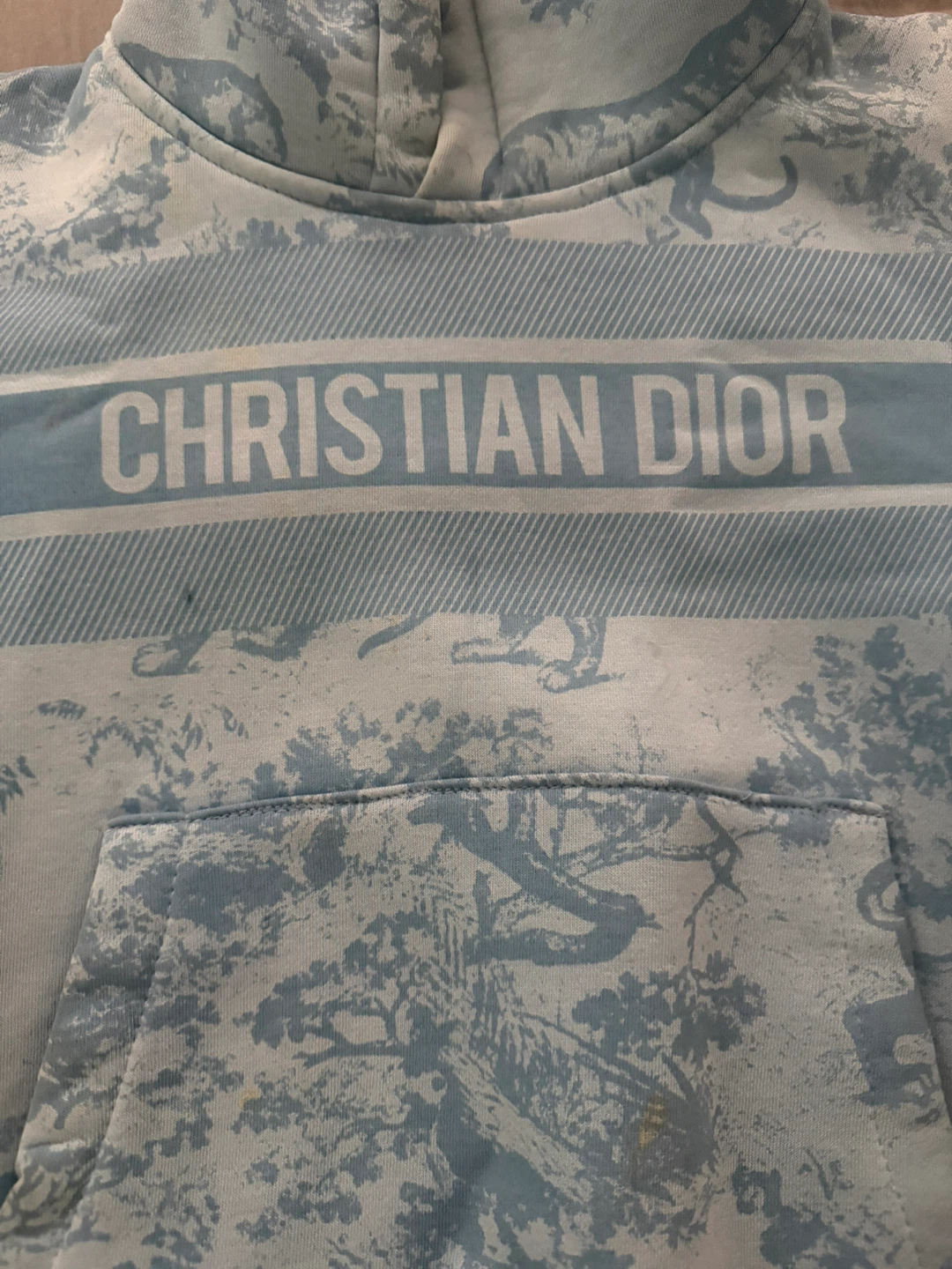 Christian Dior kids Hoddie