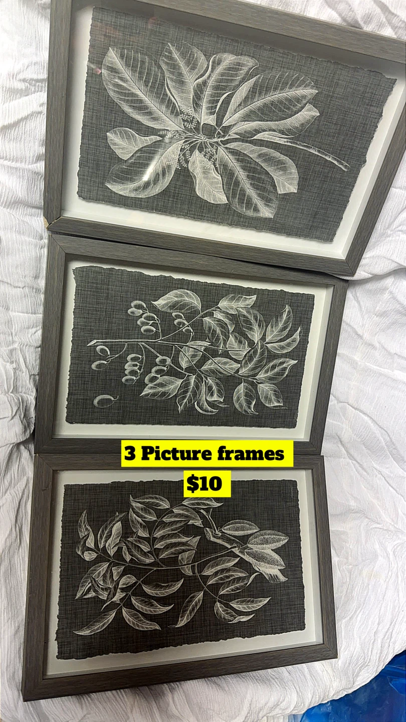 Set of 3 Framed Botanical Prints