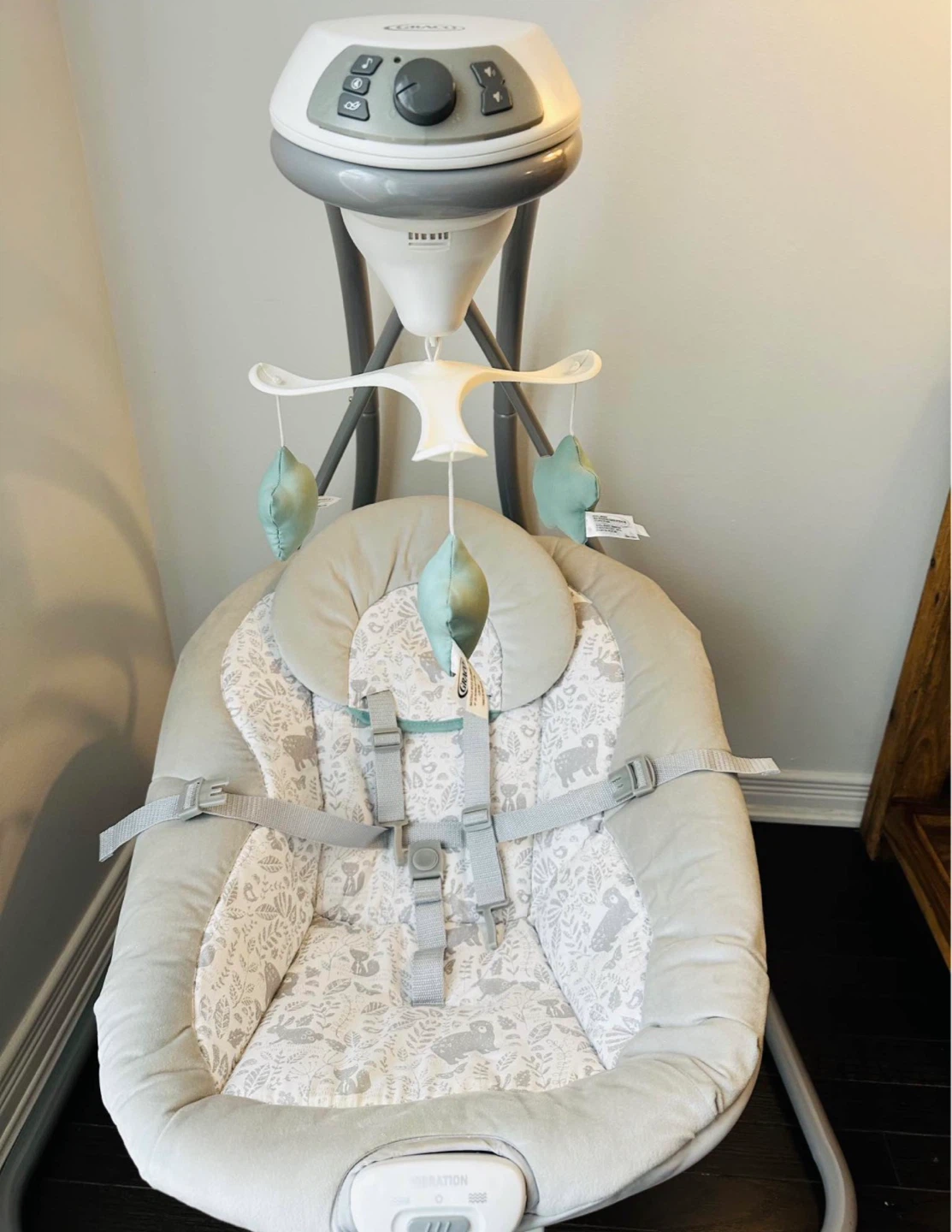 Graco Simple Sway Swing