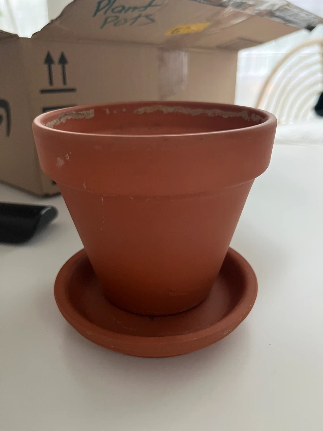 Various Planters/Pots