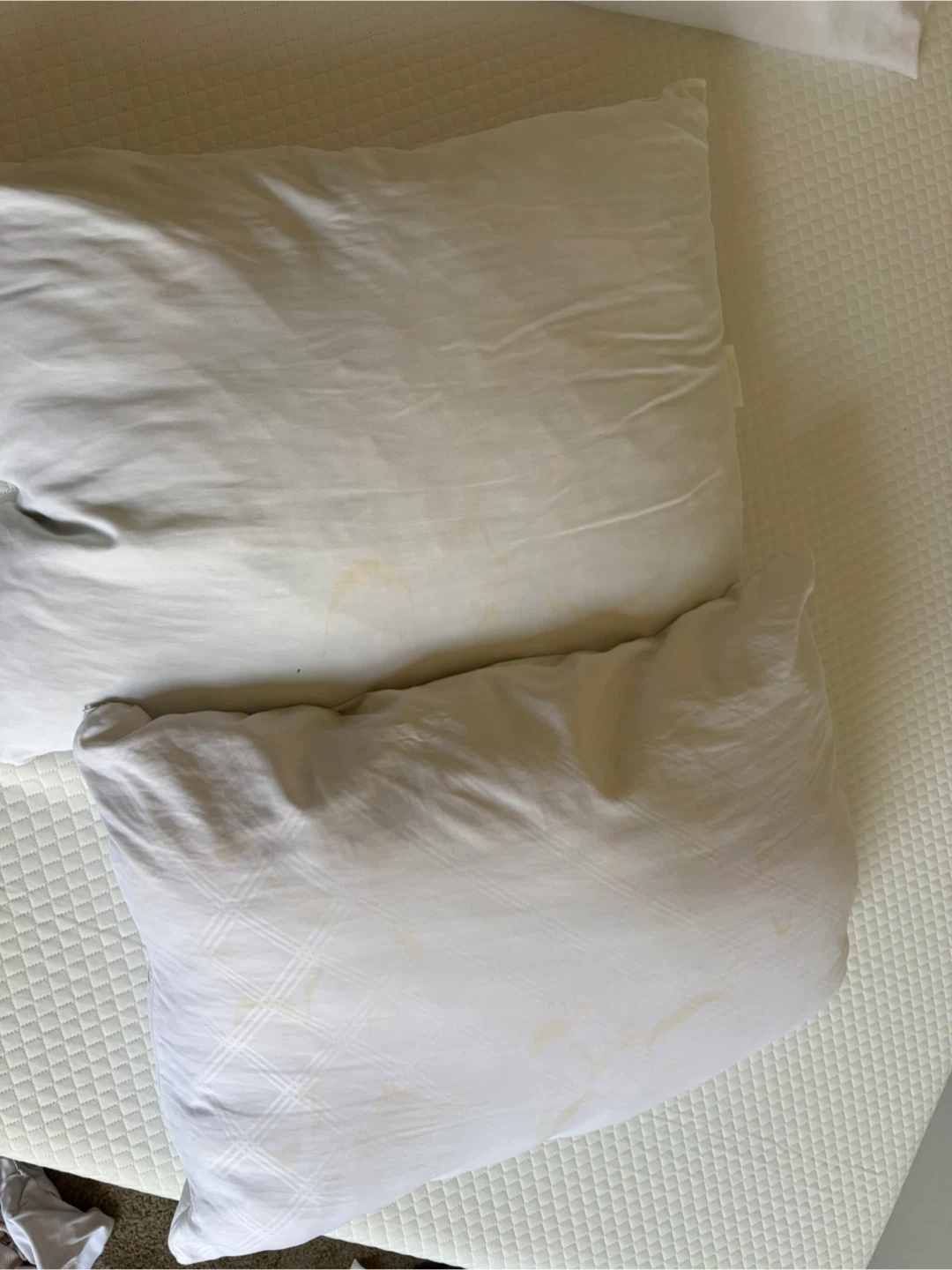 Standard Bed Pillows - 4 - photo 2