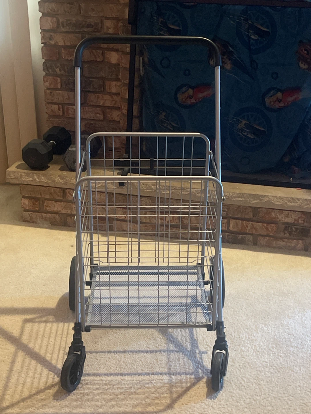 Shopping Cart / Trolley