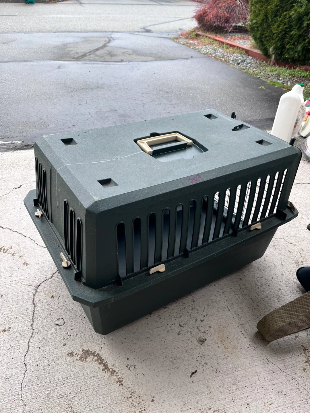 Pet Carrier