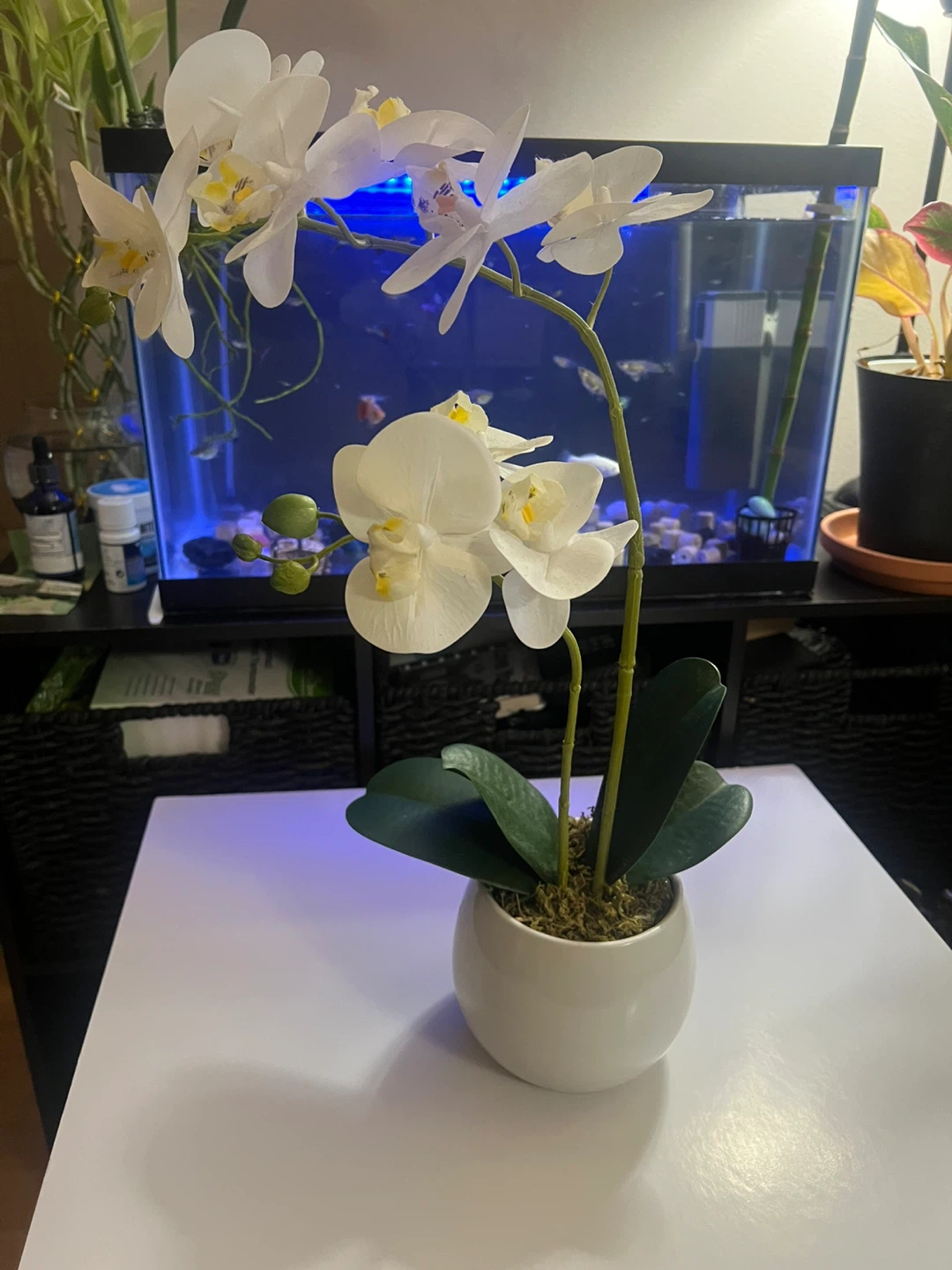 White artificial orchid in a pot
