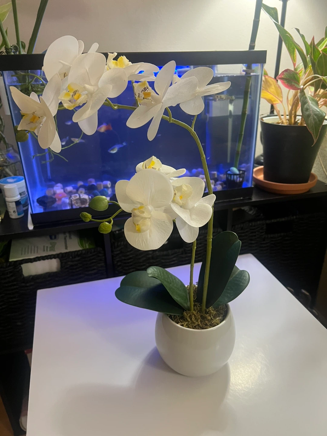 White artificial orchid in a pot - photo 2