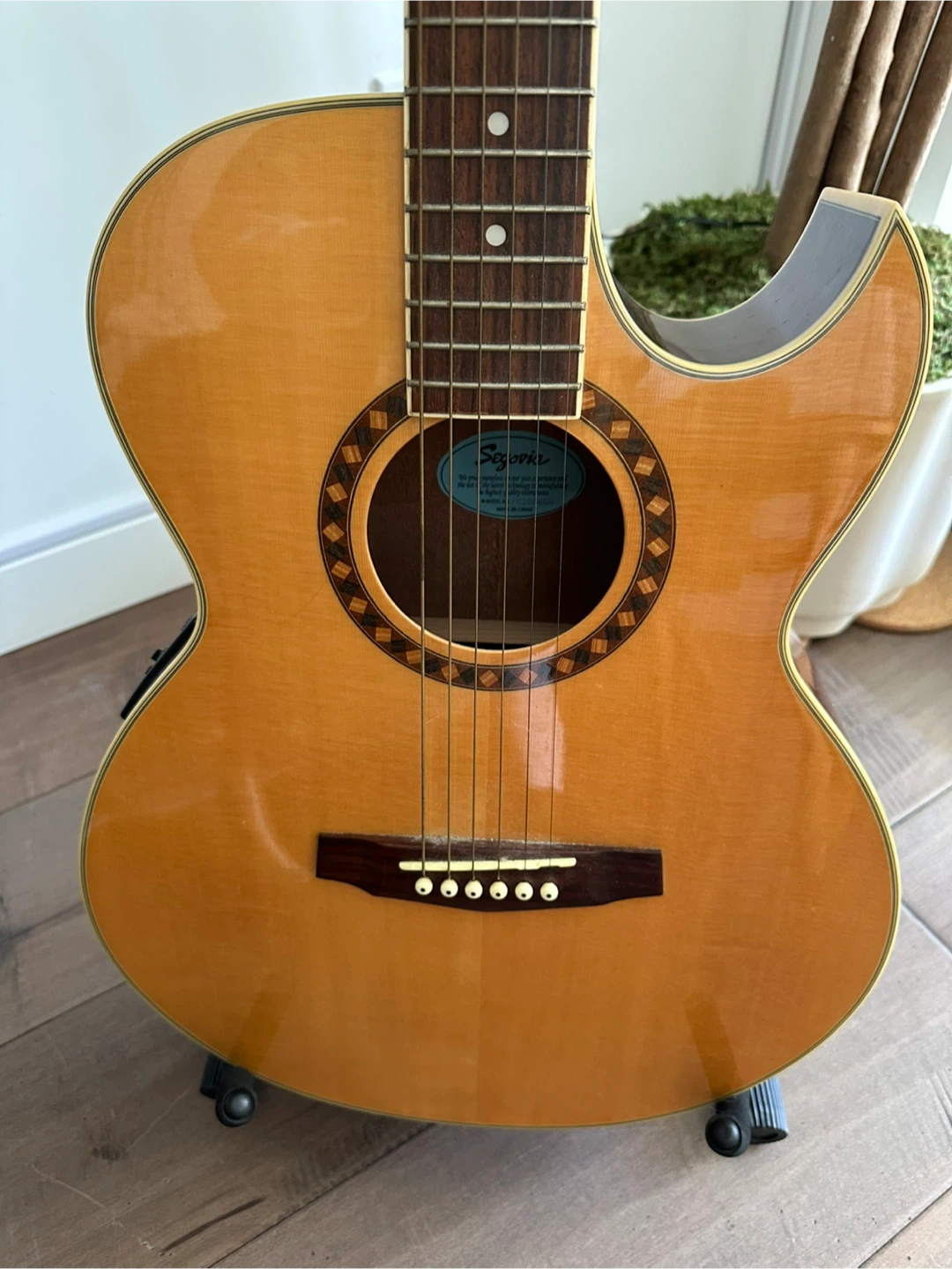 Acoustic Electric Guitar & Accessories - photo 3