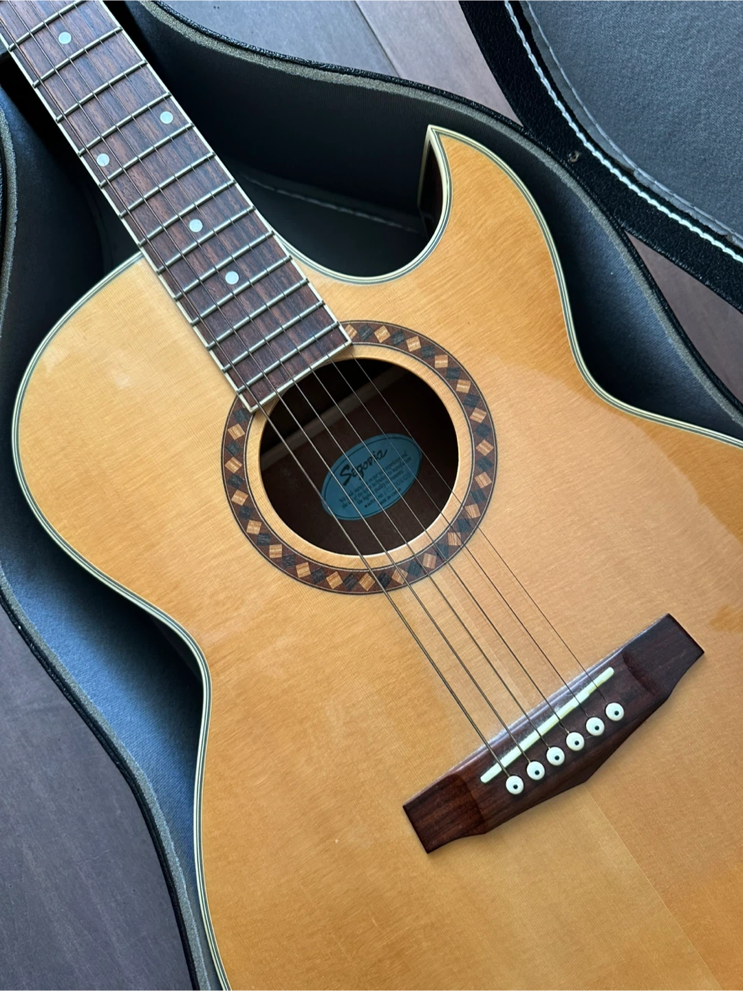 Acoustic Electric Guitar & Accessories - photo 5