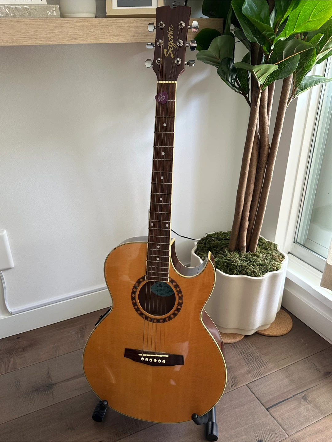 Acoustic Electric Guitar & Accessories