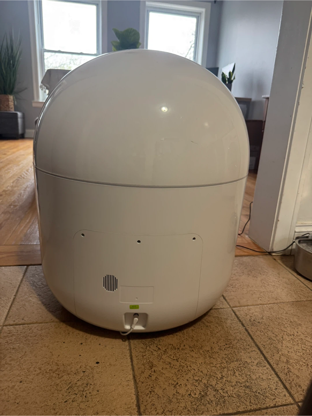 Self-Cleaning Litter Box