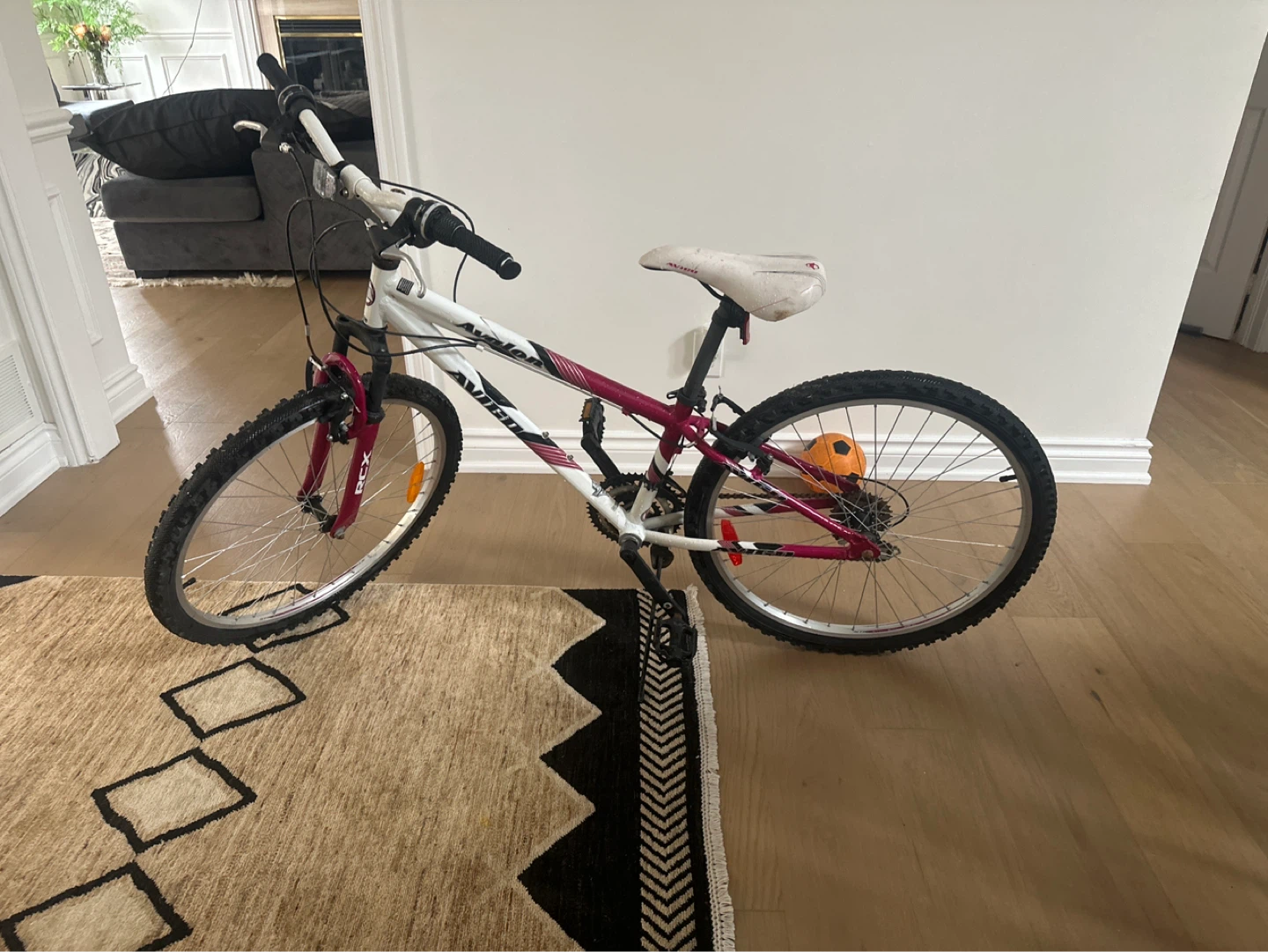 Avalon Mountain Bike