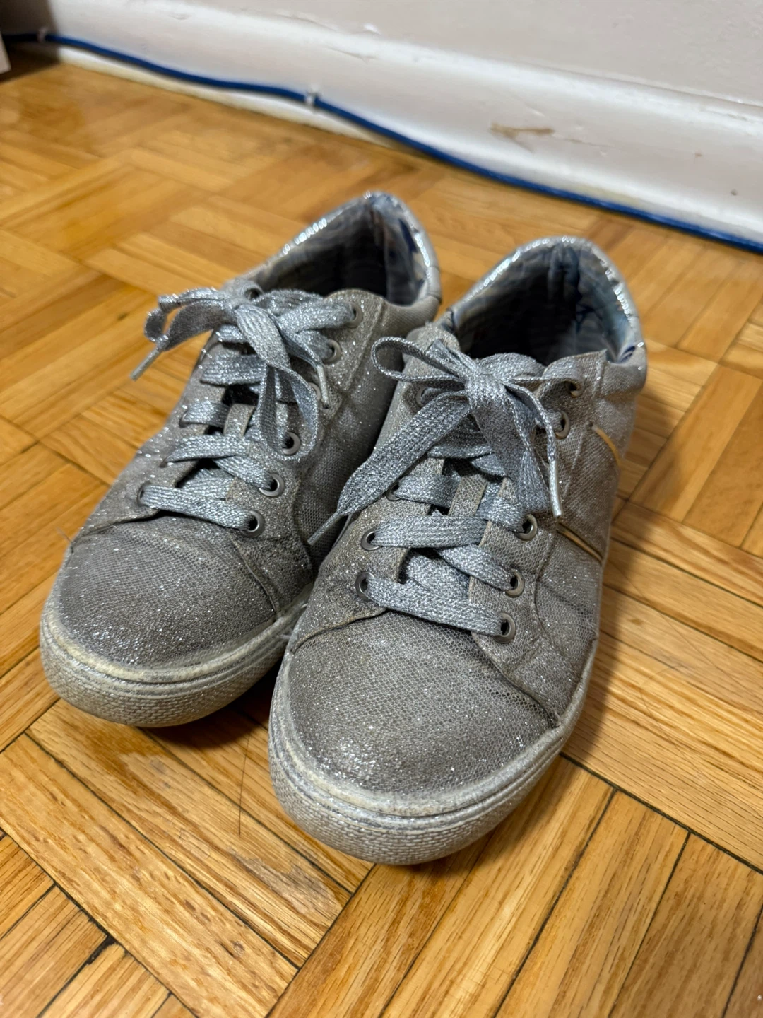 Silver Glitter Sneakers