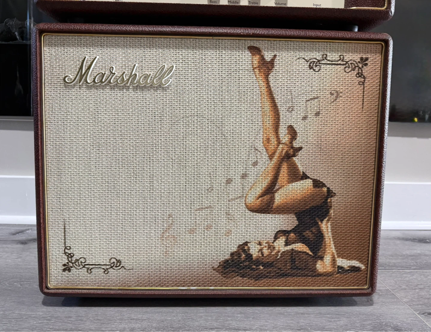 Greta pin-up Marshall Custom Shop Guitar Amp Head - photo 3
