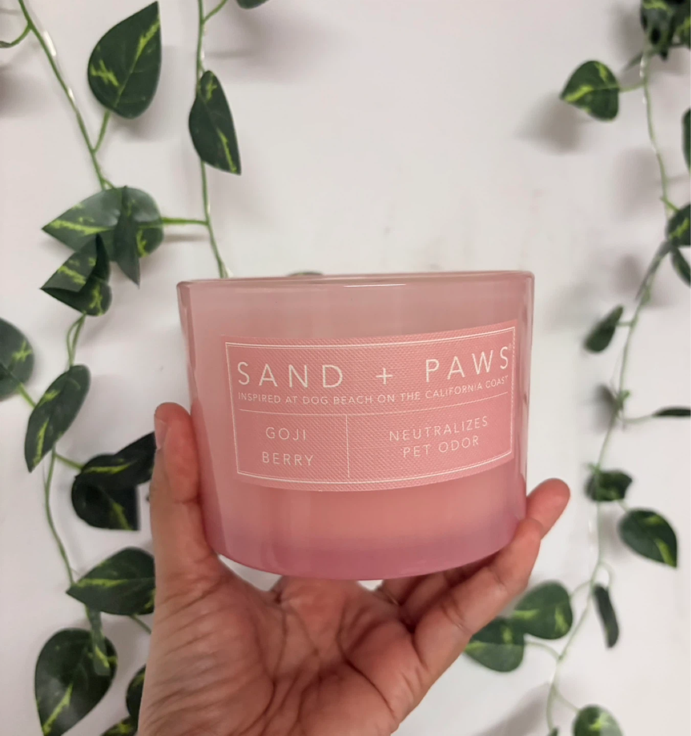 Sand + Paws Goji Berry Scented Candle ‼️final price ‼️) - photo 2