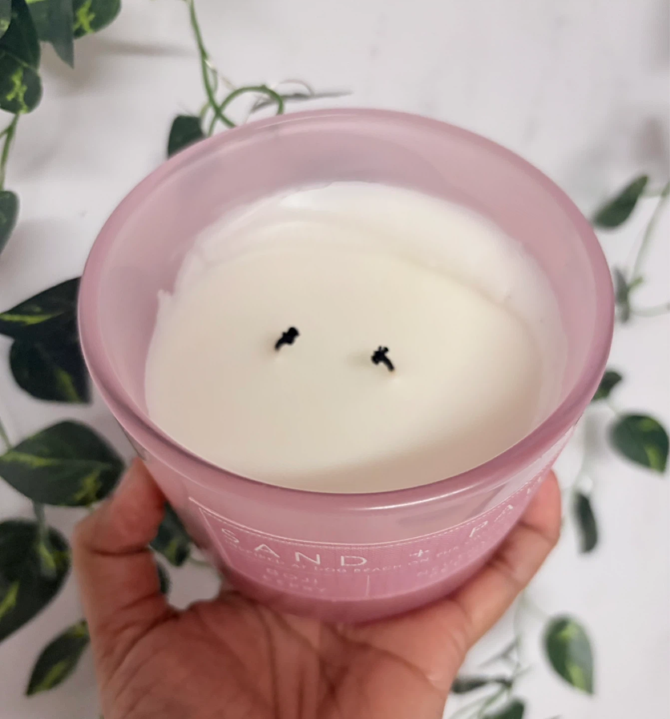 Sand + Paws Goji Berry Scented Candle ‼️final price ‼️)