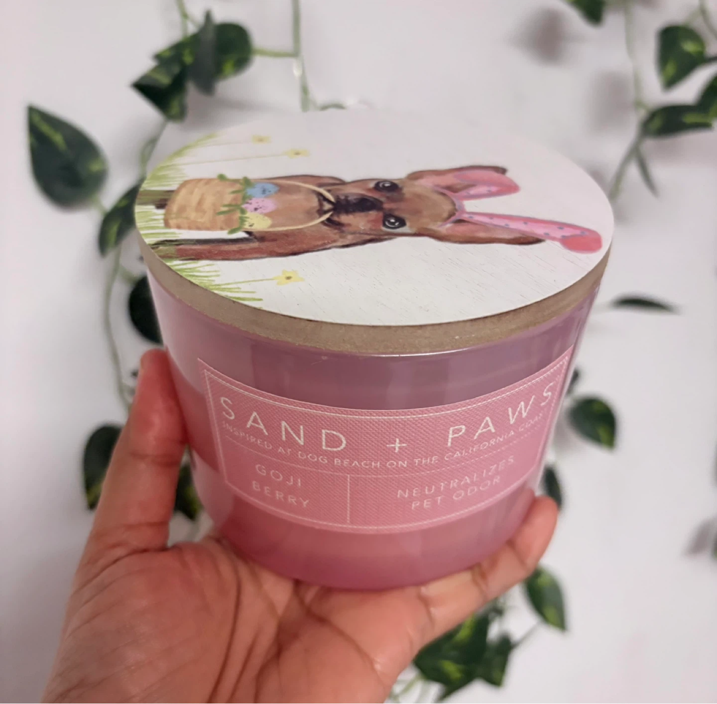 Sand + Paws Goji Berry Scented Candle ‼️final price ‼️) - photo 3