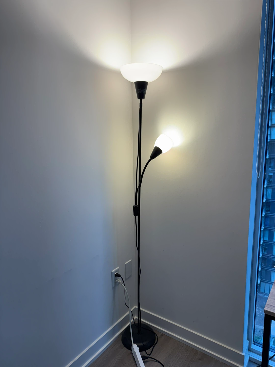 Floor Lamp with Adjustable Reading Light