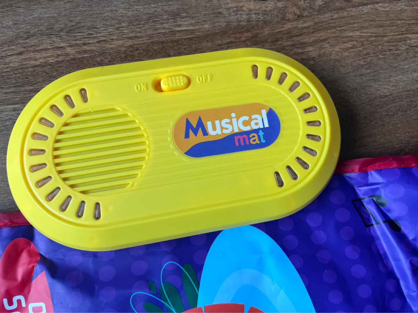 Musical Mat - Interactive Play Mat - photo 2