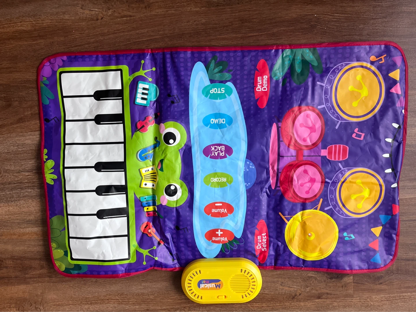Musical Mat - Interactive Play Mat