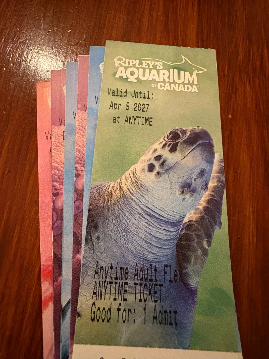 Ripley's Aquarium of Canada Adult Ticket