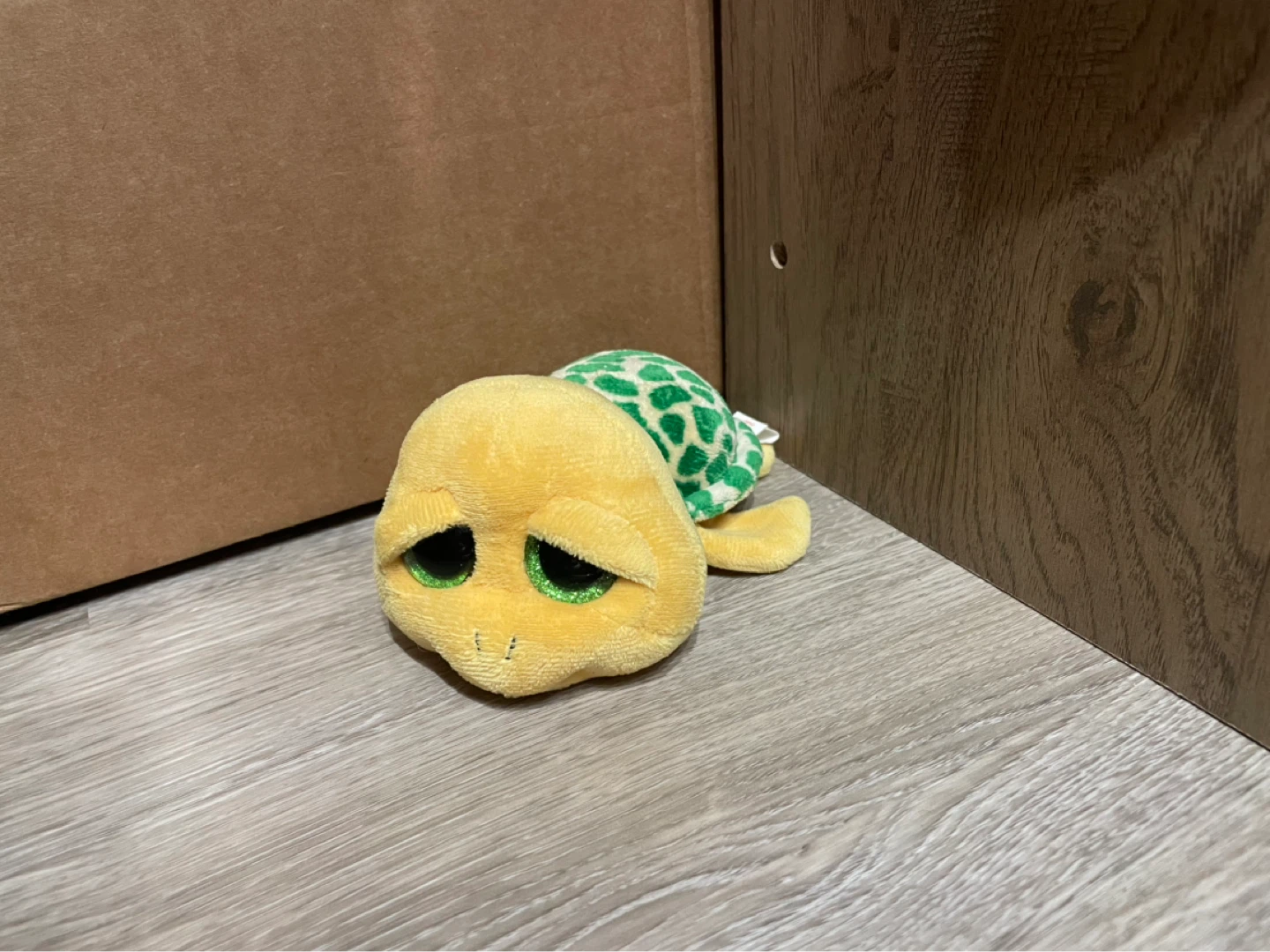 ty Beanie Boo Toy Turtle named "Pokey"