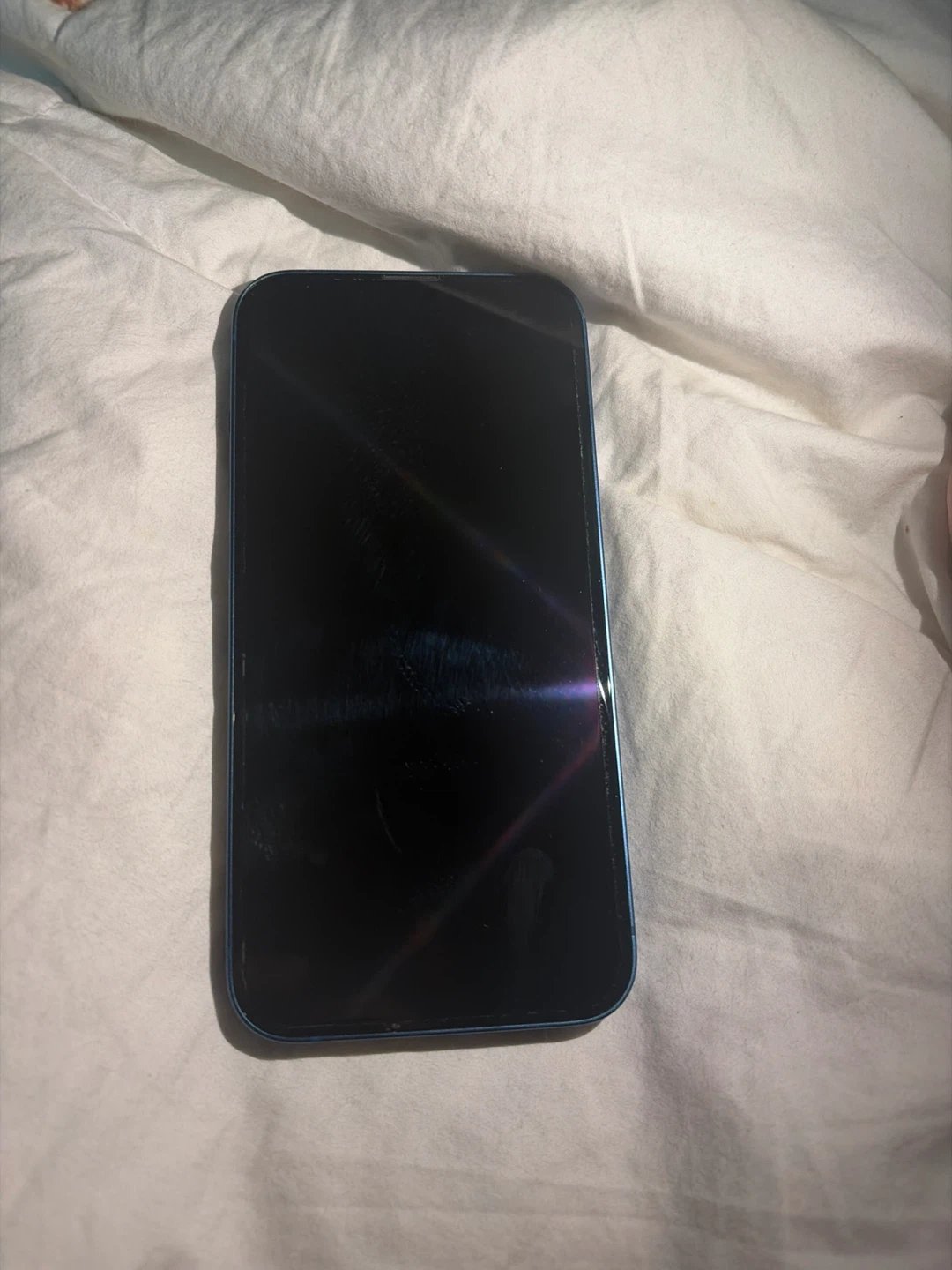 Apple iPhone 13 - Blue