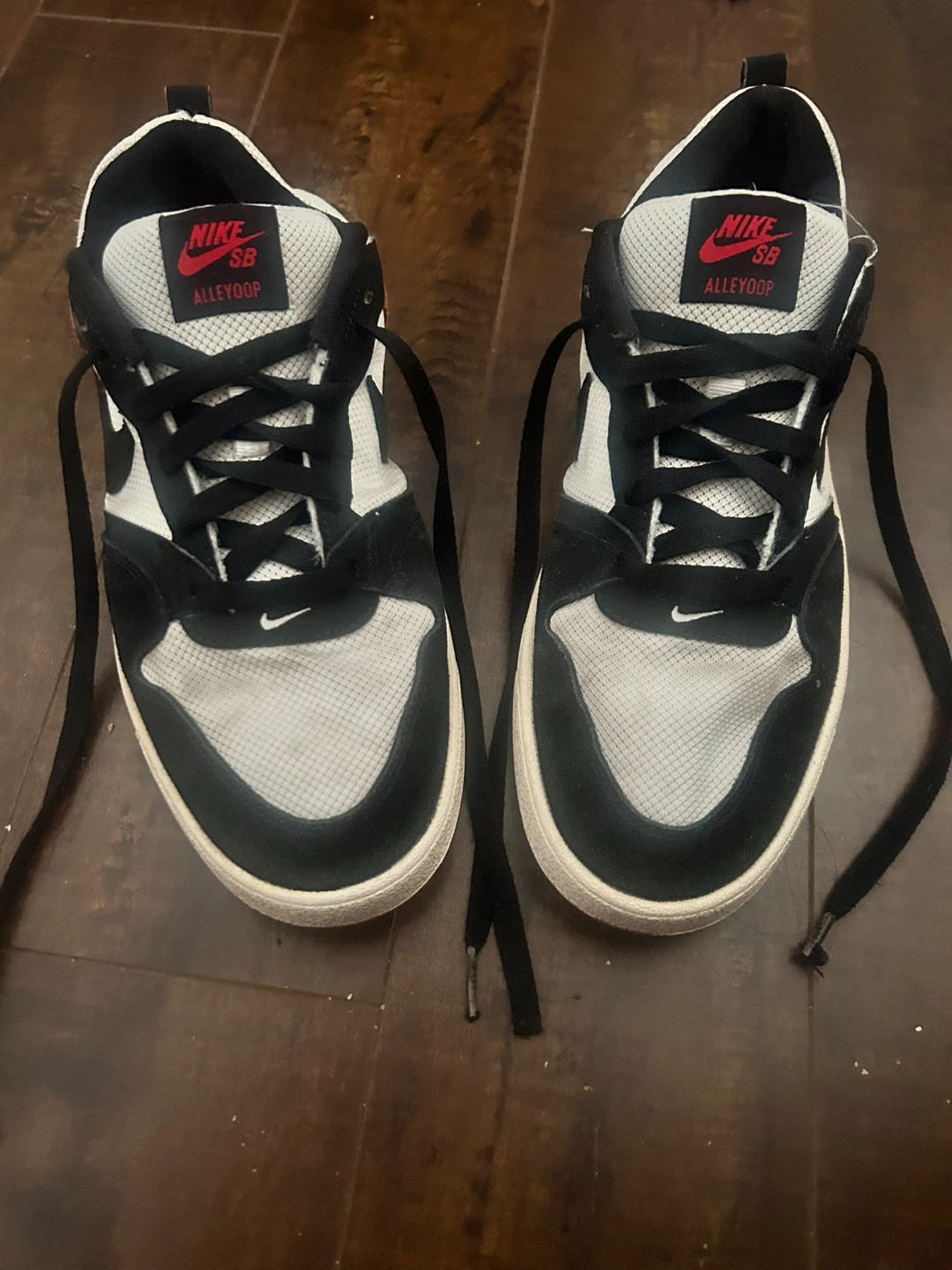 Nike SB Alleyoop Skate Shoes