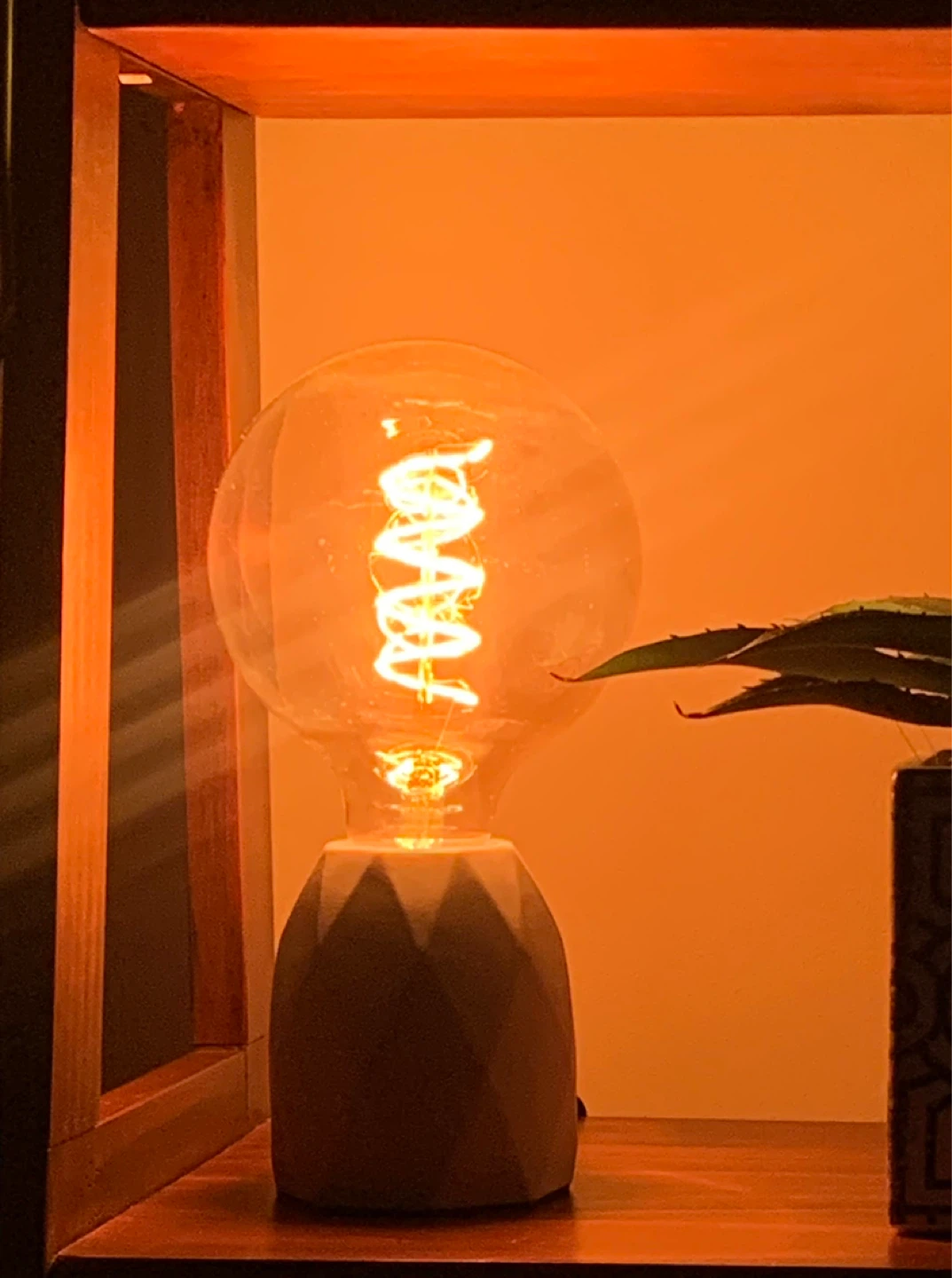 BUNDLE: Geometric / stone Edison bulb lamp & faux plant - photo 3