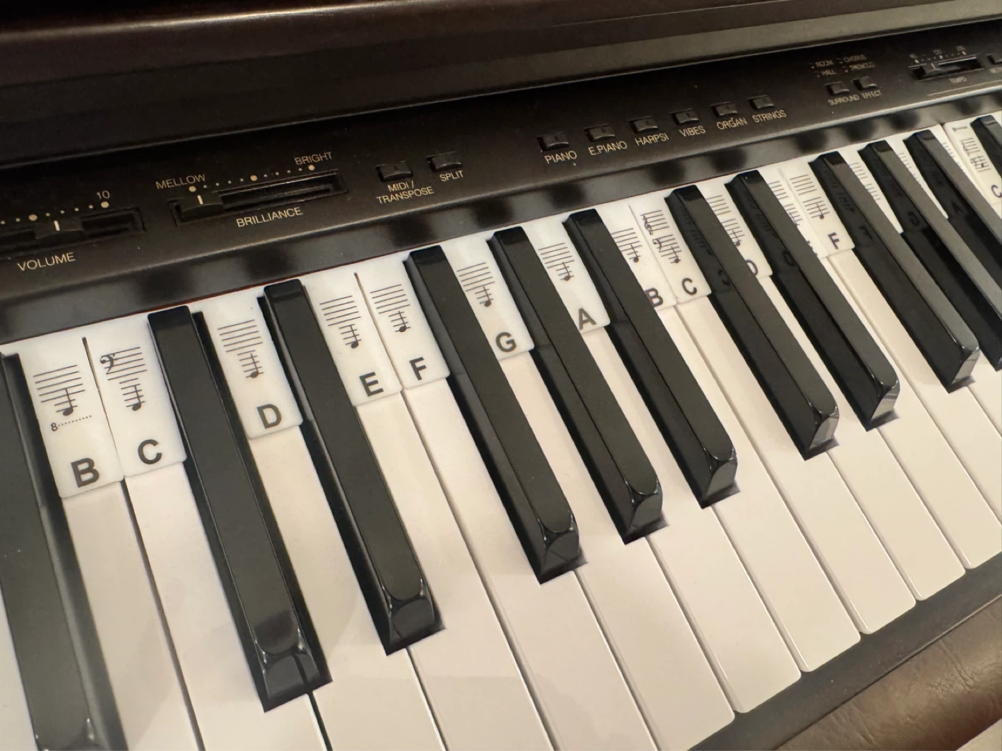 KORG Concert Piano with Bench and Lesson Books - photo 3