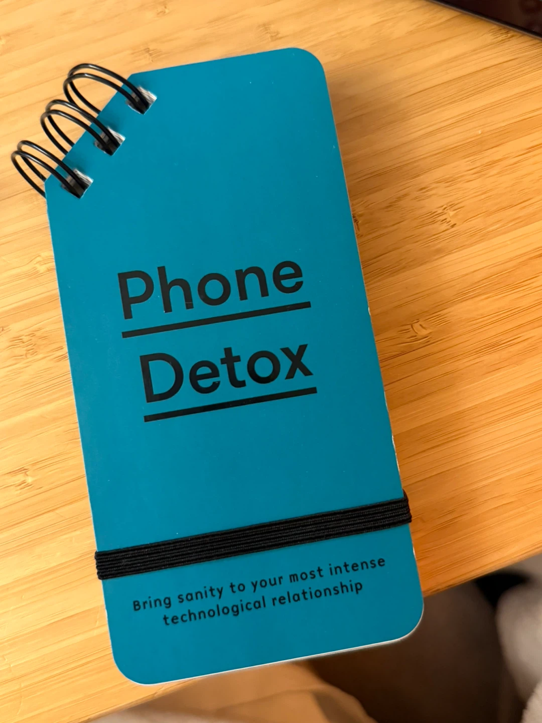 Phone Detox Book - photo 2