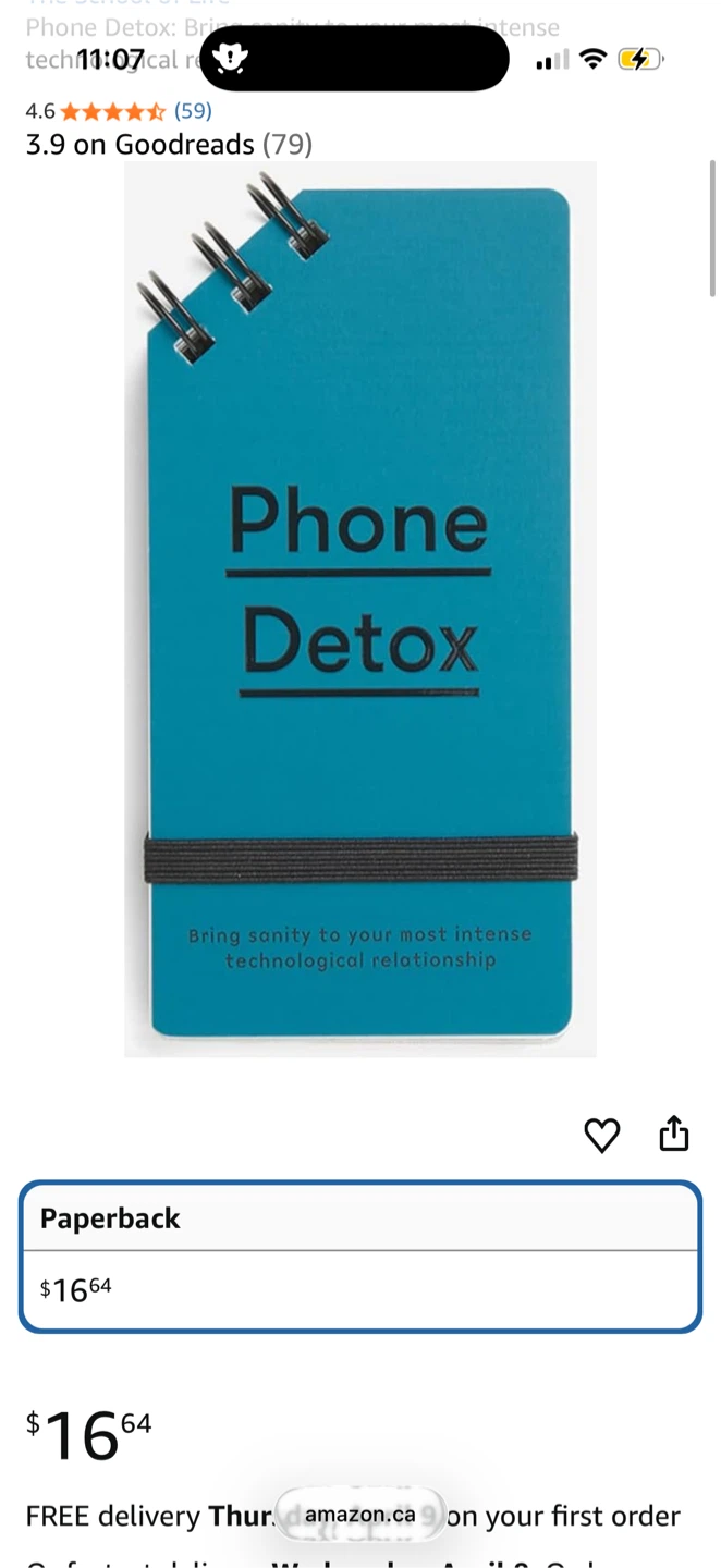 Phone Detox Book