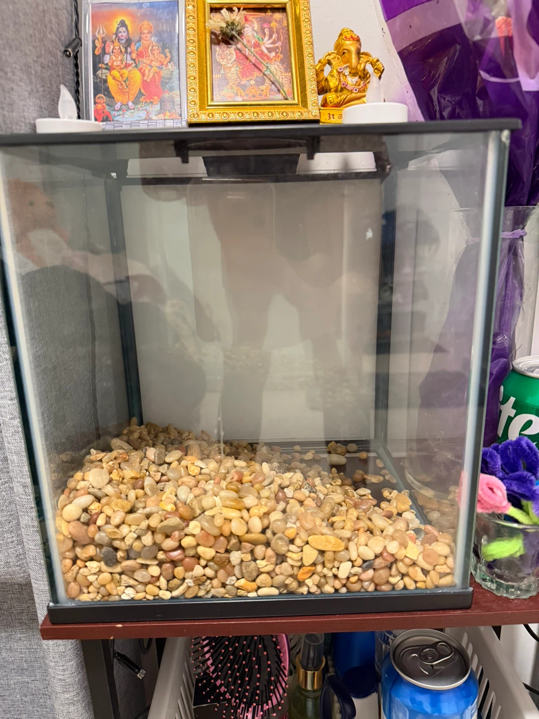 Glass Aquarium with Gravel,Heater and Filter