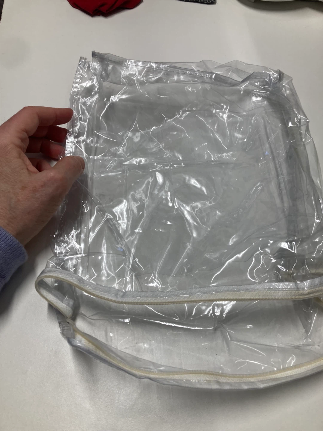 FREE  Plastic Zippered Storage Bag