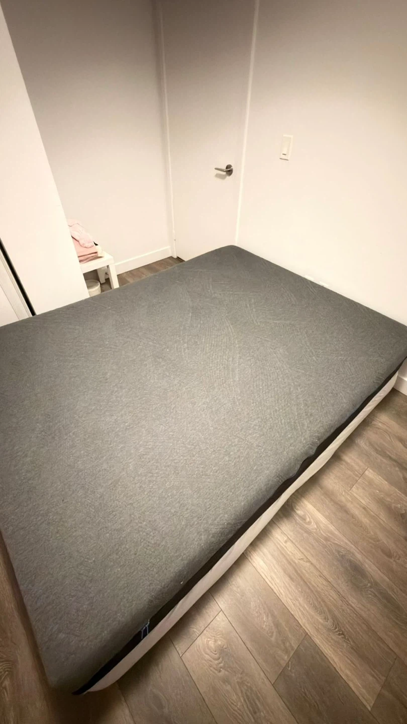Memory Foam Mattress