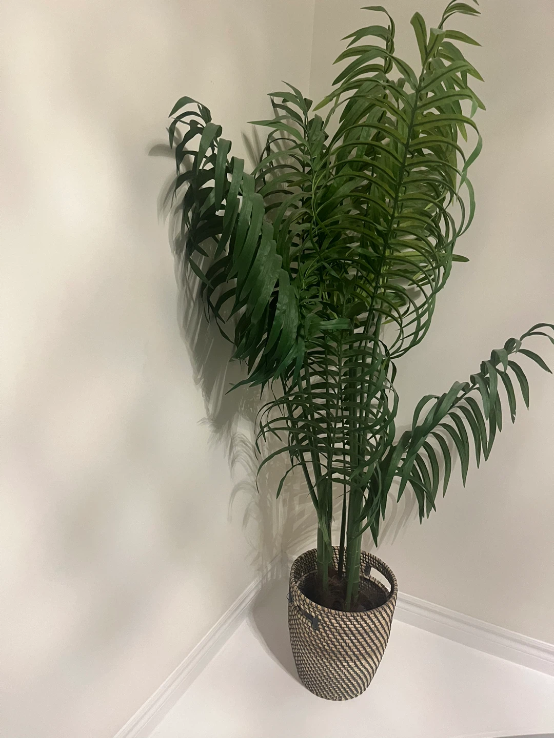 Artificial Palm Plant in Woven Basket