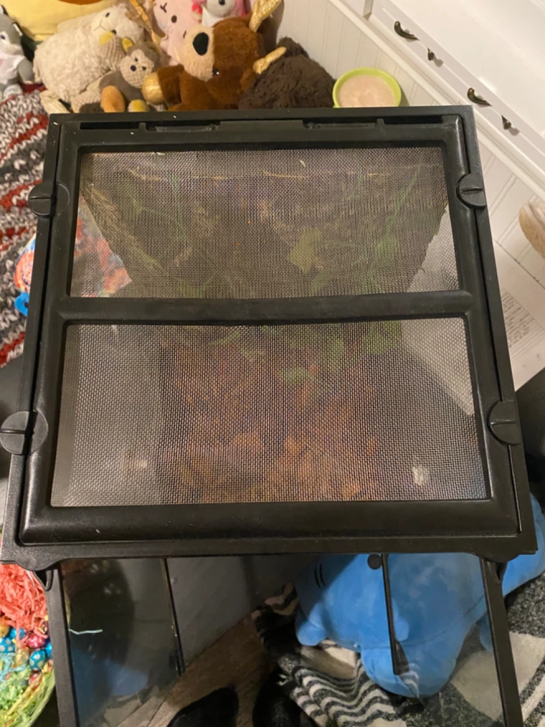 Terrarium for reptiles (12.5 gallons) - photo 3