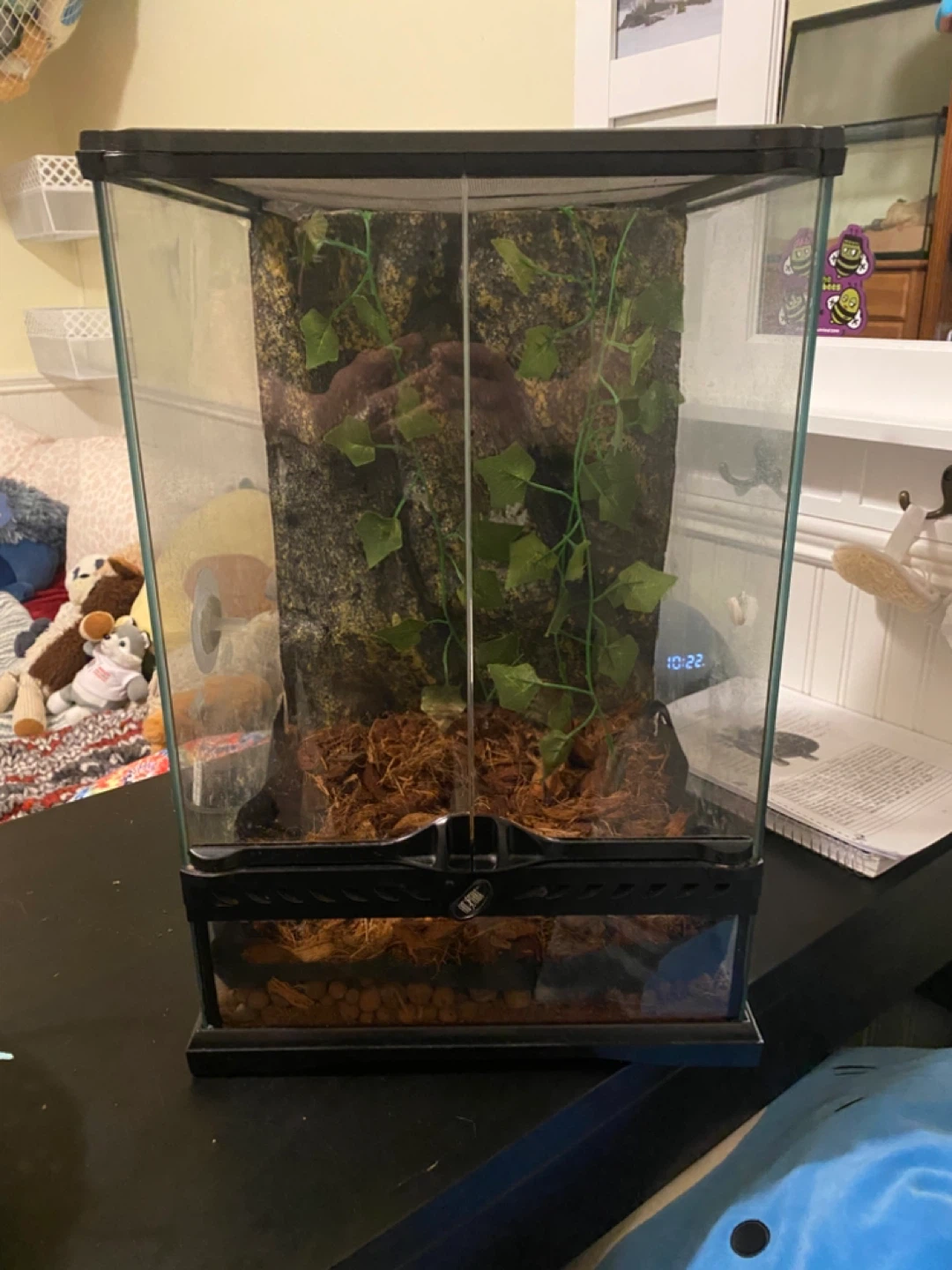Terrarium for reptiles (12.5 gallons)
