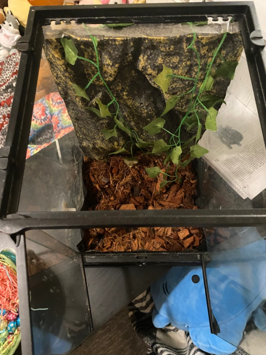 Terrarium for reptiles (12.5 gallons) - photo 5
