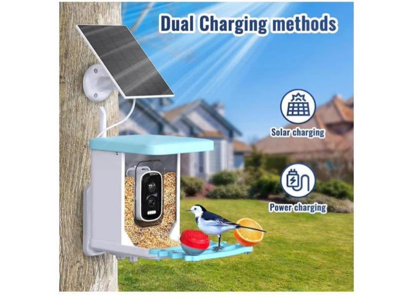 4MP Bird Feeder Camera with Solar Panel and Wi-Fi