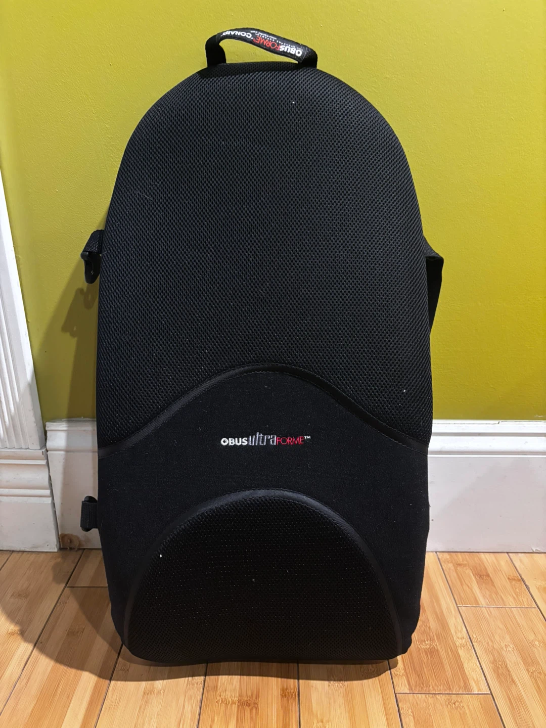 Conair ObusUltraforme Back Support Cushion