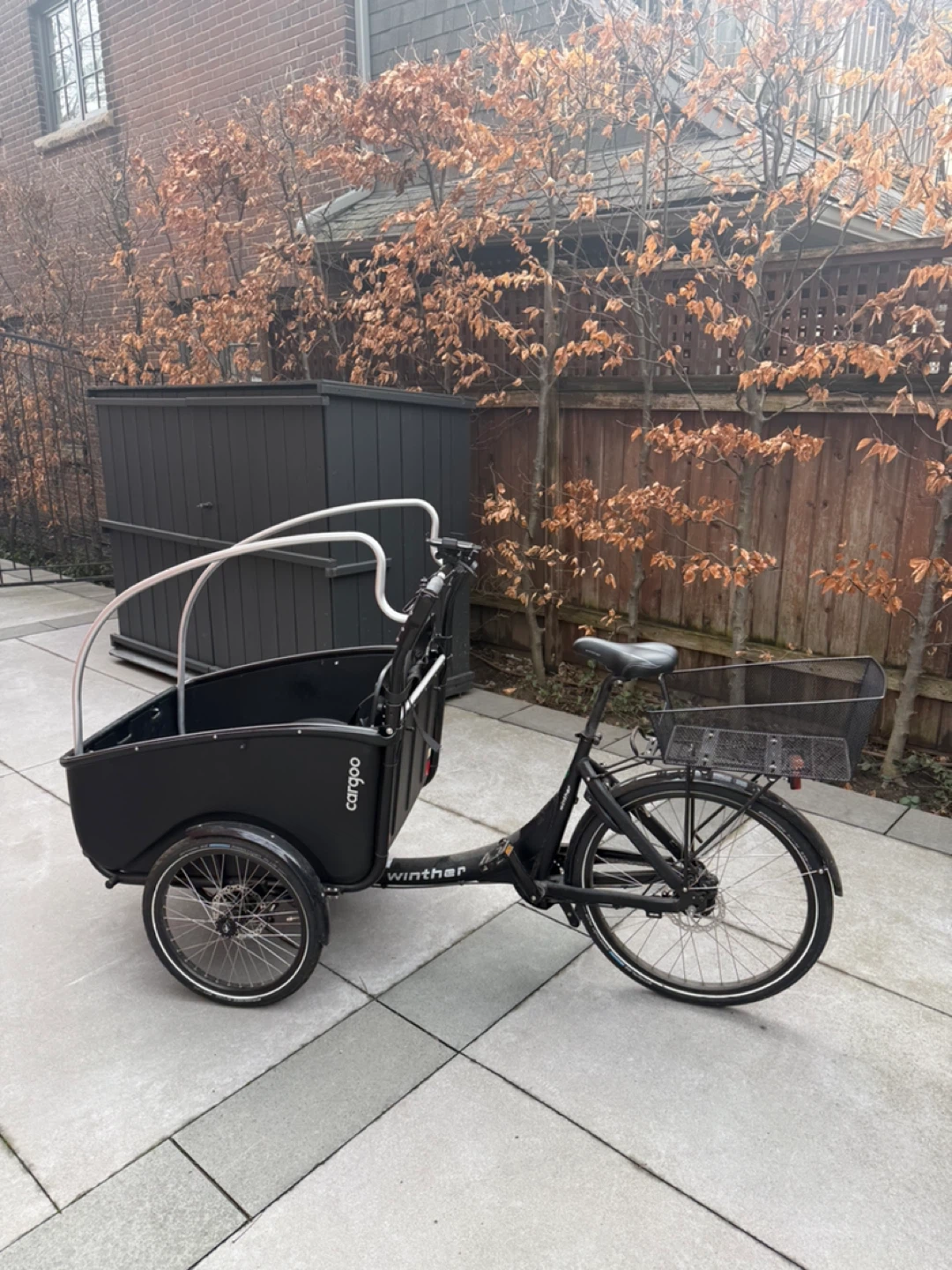 Winter tricycle