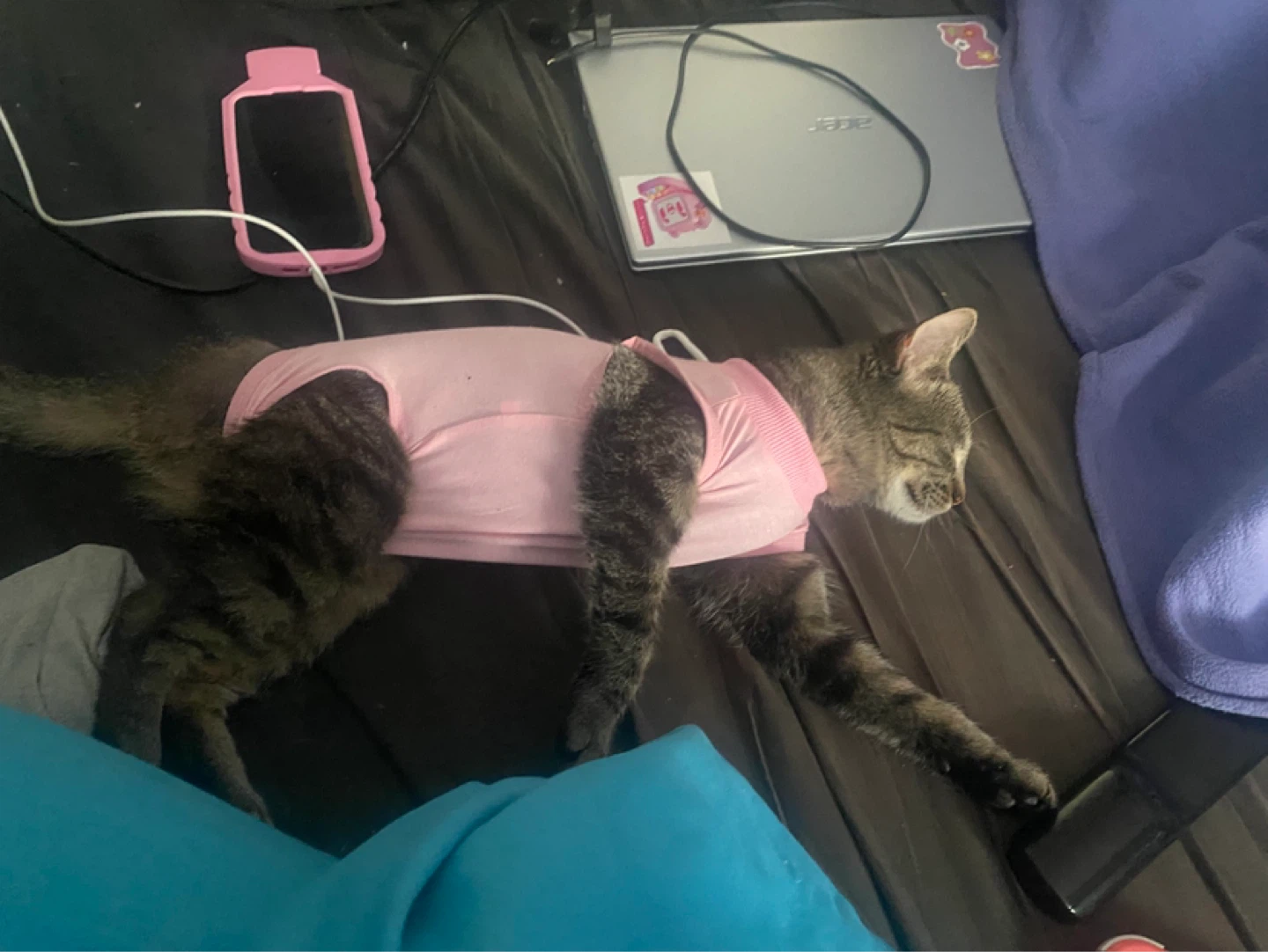 Pink cat recovery suit - photo 2