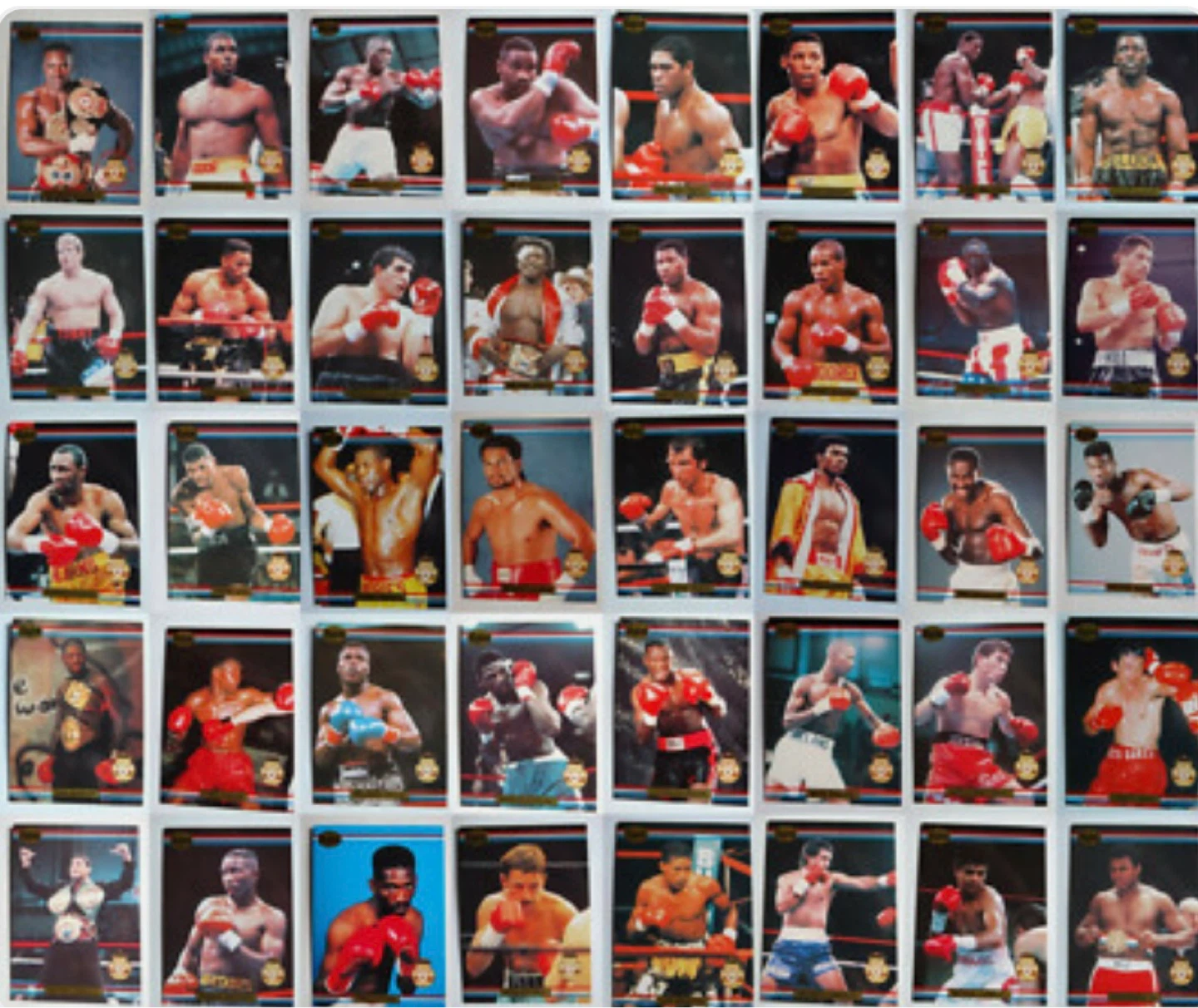 Case of  1991 Ringlords  Boxing Card Complete Sets (20 in total) - photo 5