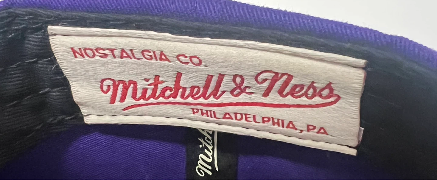 Vintage Mitchell & Ness Toronto Raptors Adjustable Baseball Cap - photo 4